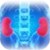Nephropathy- Complication of Kidneys in Diabetes